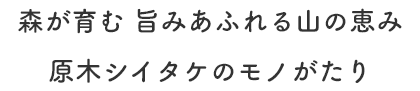 森が育む旨みあふれる山の恵み 原木シイタケのモノがたり