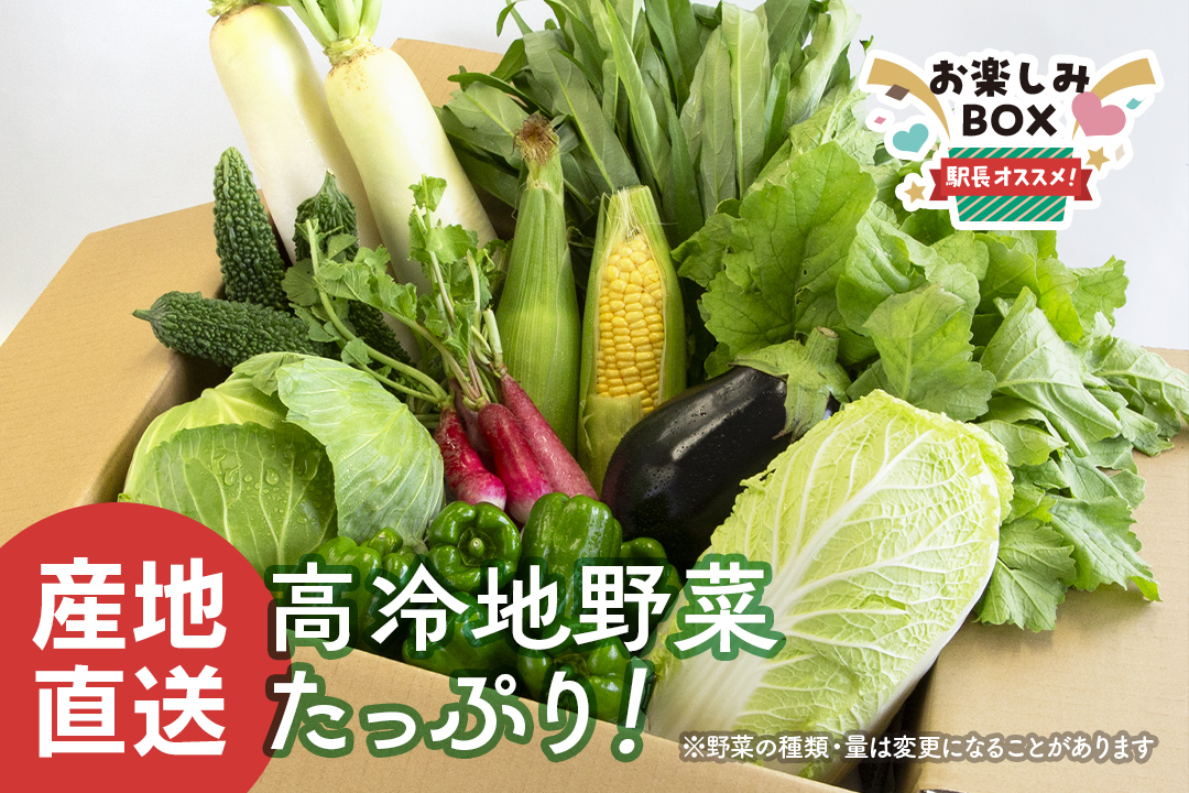 駅長おすすめ♪ おまかせ高冷地野菜詰め合わせ 産直お楽しみボックス 【送料込み】